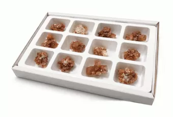 Stojan s 12 Surovými Vzorky Aragonitu 3-4 cm