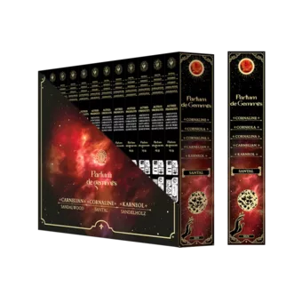 Vonné tyčinky Smudge Stick Parfum de Gemmes Santal & Karneol 20g