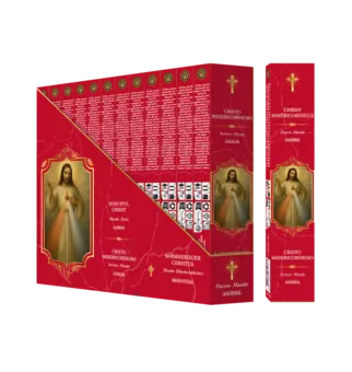 Vonné tyčinky Fragrances & Sens Milosrdný Kristus Masala 15g