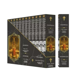 Vonné tyčinky Fragrances & Sens Pontifical Masala 15g