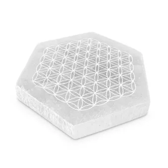 Hexagonální destička ze selenitu Květ života 11cm 125g
