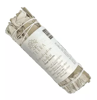 Bílá šalvěj & Eukalyptus Dollar Svazek 25-30g 10cm