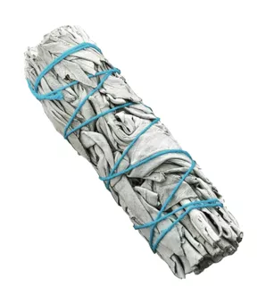 Bílá kalifornská šalvěj svazek bez štítku 25-30g 10cm