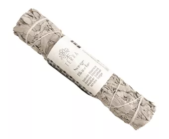 Bílá kalifornská šalvěj svazek 70g 18cm
