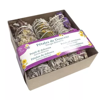 Set Okvětní plátky něhy & Bílá šalvěj Svazek 25-30g 10cm