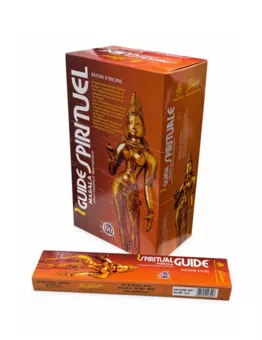 Indická tyčinka Padmini Masala Spiritual Guide 15g