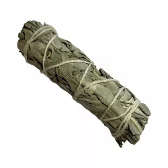 Bílá kalifornská šalvěj svazek 19-25g 10cm