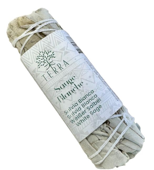 Sauge blanche Californie fagot 25-30g 10cm chez Arabesk|cz