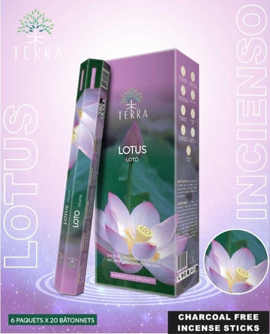 Encens Terra Lotus hexa sans charbon 30grs chez Arabesk|cz